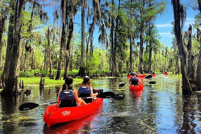 New Orleans Kayak Tours – Manchac Swamp Kayak Tour
