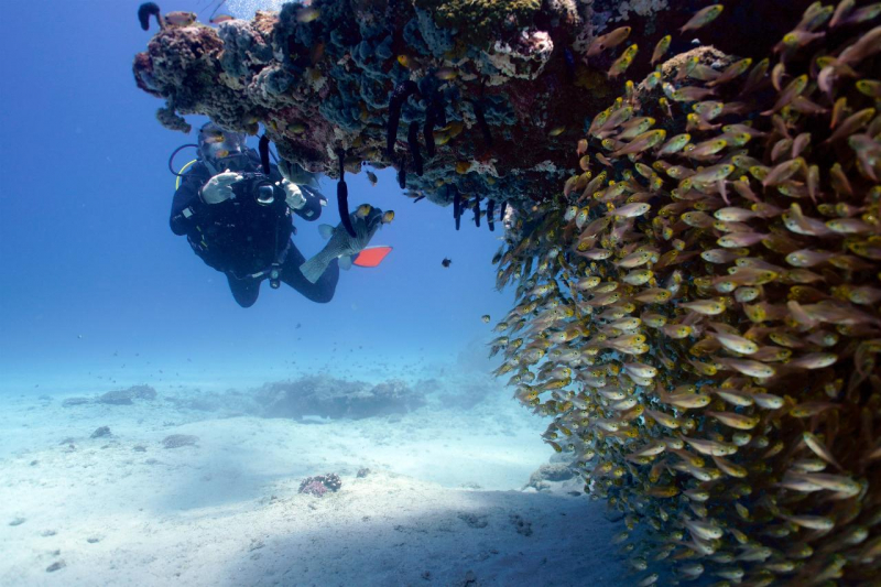 Ningaloo Reef. Photo: exmouthdiving.com.au