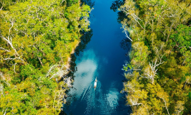 Noosa Everglades,https://th.bing.com/