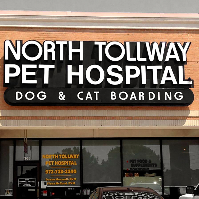 North Tollway Pet Hospital. Photo: totalpetcare.net