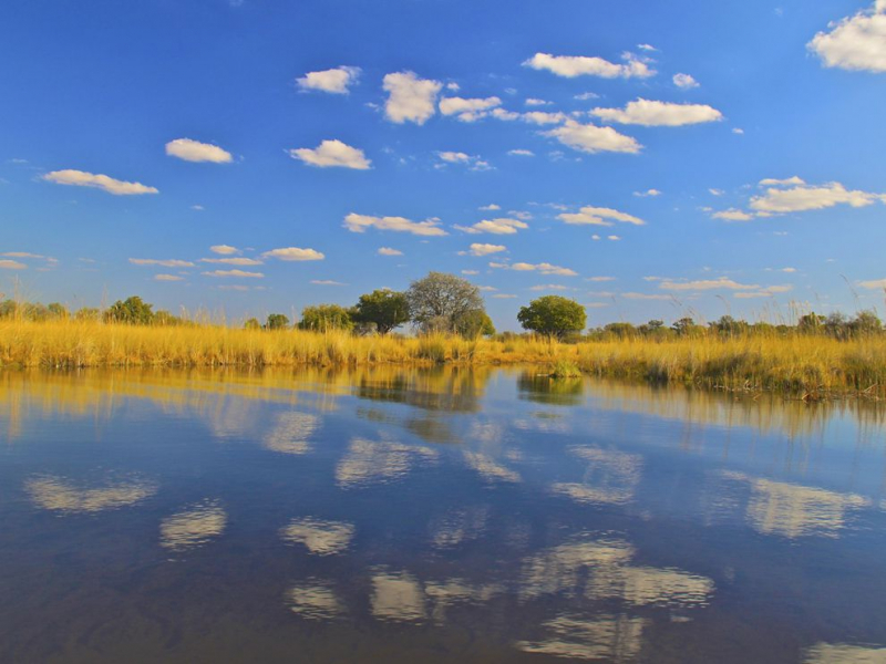Okavango Delta. Photo: nationalgeographic.org