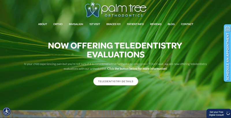 Palm Tree Orthodontics. Photo: screenshot