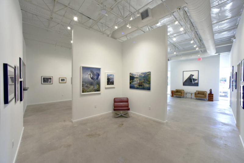 PDNB Gallery