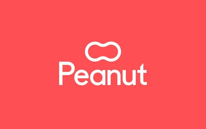 Screenshot of https://www.peanut-app.io/