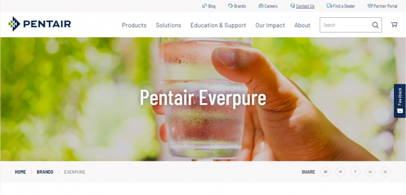 Pentair Everpure is one of the most recognized brands among foodservice operators and managers - Screenshot photo