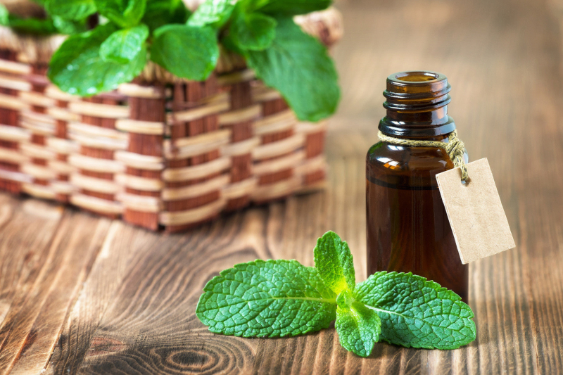 Peppermint Aromatherapy