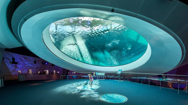 Phillip and Patricia Frost Museum of Science – Miami