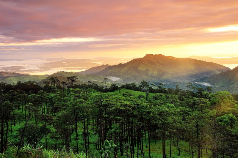 https://www.tourismthailand.org/