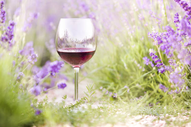 Provence's red wine
