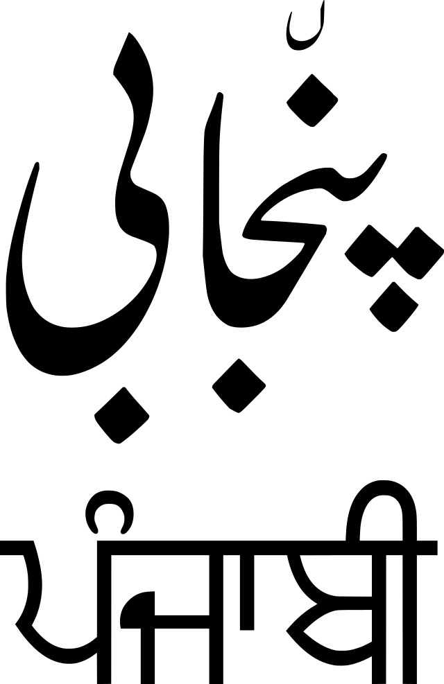 Photo by Wikimedia Commons (https://commons.wikimedia.org/wiki/File:Punjabi_example.svg)