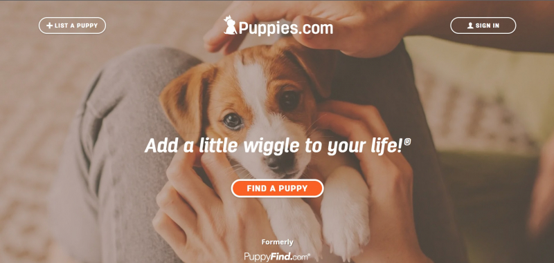 Screenshot of https://www.puppyfind.com/