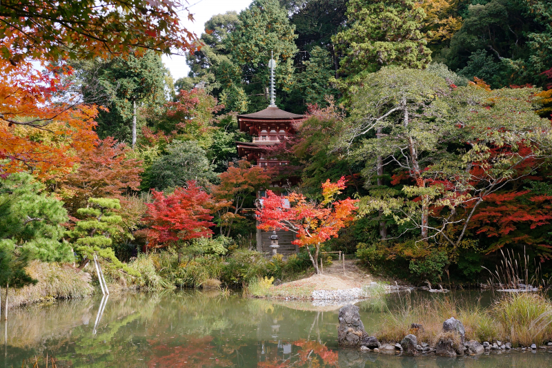 Jōruri-ji in Kizugawa, Kyoto prefecture, Japan - Photo on Wikimedia Commons (https://commons.wikimedia.org/wiki/Category:Pure_Land_Japanese_garden#/media/File:Joruriji_Kizugawa_Kyoto_pref_Japan02s3.jpg)