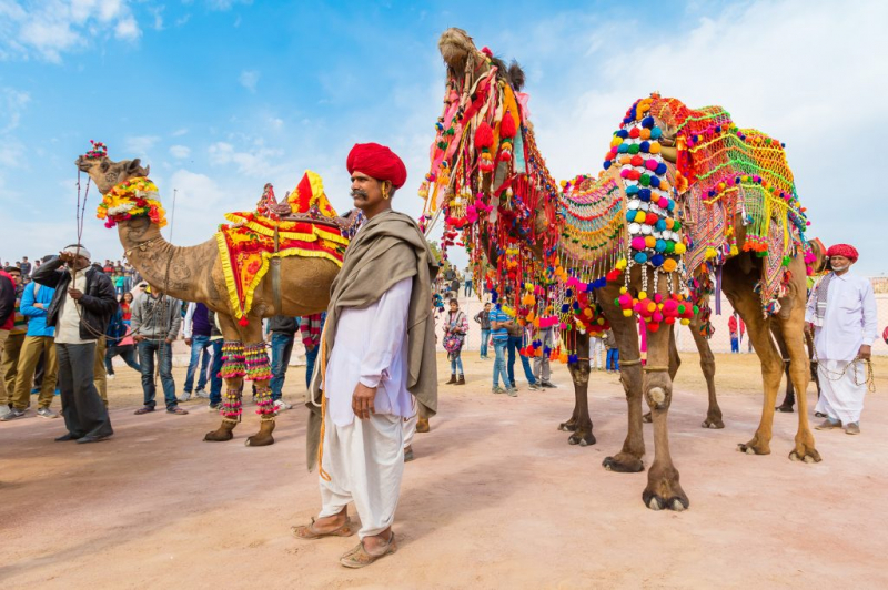Travel Rajasthan