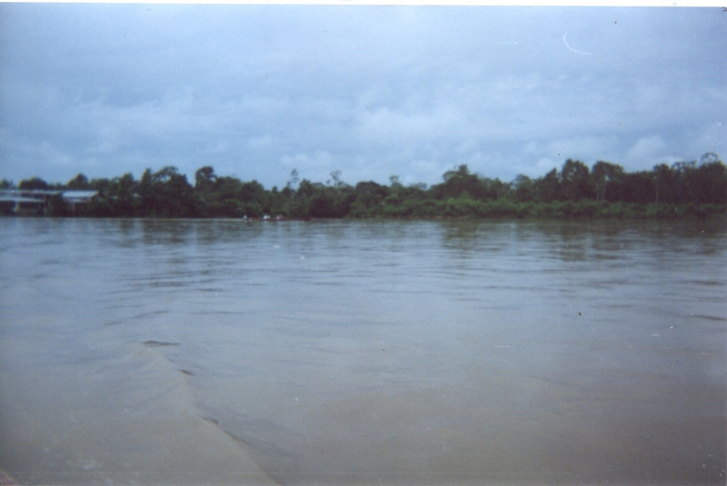en.wikipedia.org/wiki/Putumayo_River