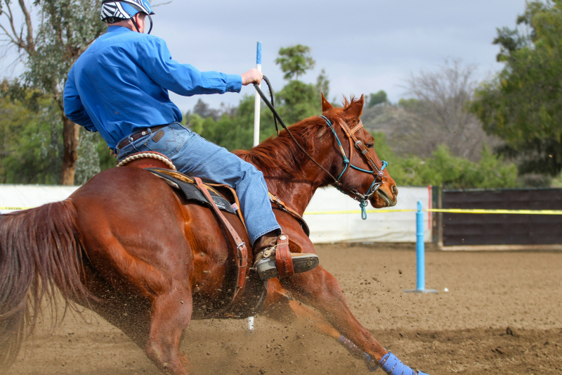 Photo by Christine Benton on Unsplash: https://unsplash.com/photos/man-in-blue-jacket-riding-brown-horse-during-daytime-TU_m6CSPenM