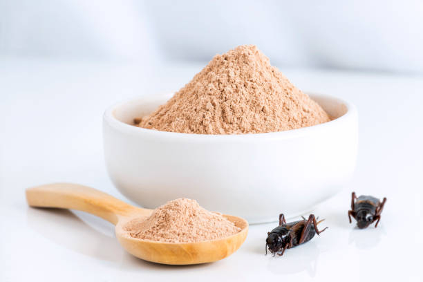 Quinoa Flour or Cricket Flour