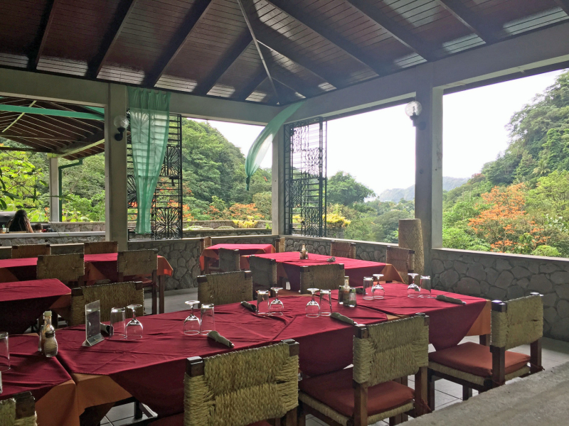 رستوران جنگل های بارانی در پاپیلوت1