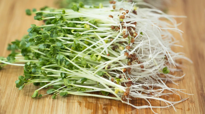 Raw Sprouts