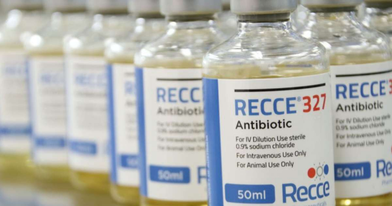 Photo: https://www.proactiveinvestors.com.au/companies/news/964087/recce-pharmaceuticals-receives-ethics-approval-to-start-phase-i-intravenous-clinical-trial-of-recce-327-964087.html