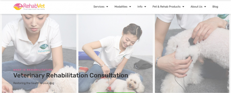 Screenshot of https://rehabvet.com/services/veterinary-rehabilitation-consultation/
