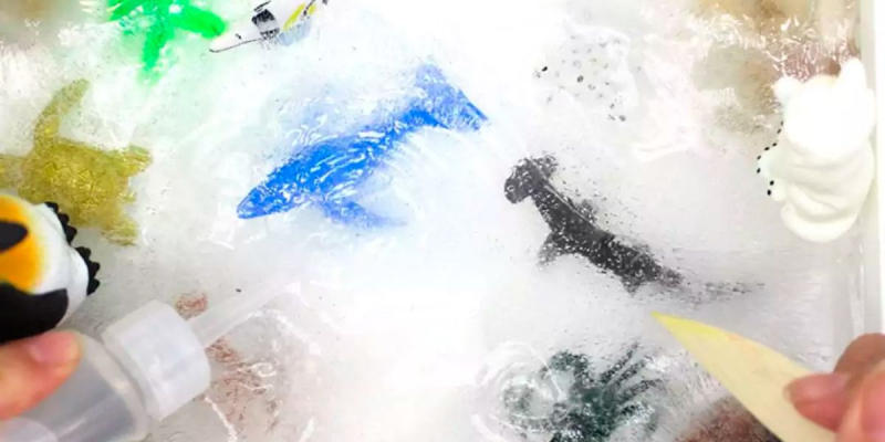 Rescuing Frozen Sea Animals - Photo via teachingexpertise.com