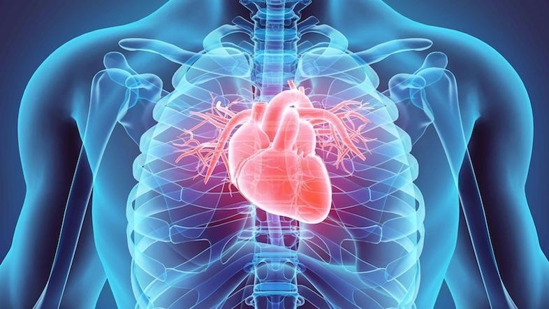 Brilinta lowering the risk of CV death - MIT News