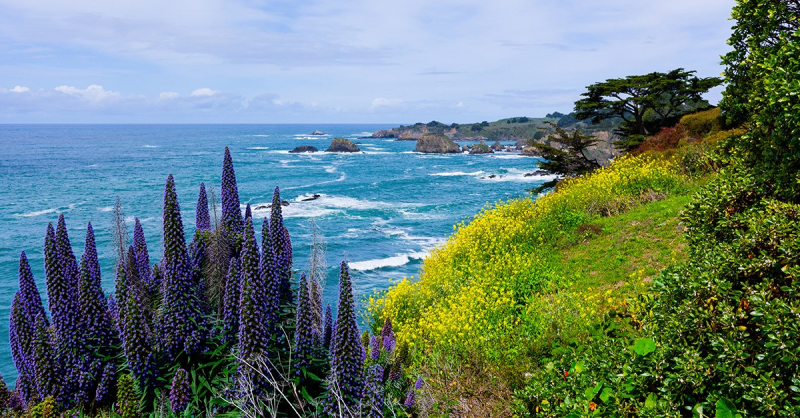 Rugged and Unspoiled Mendocino County