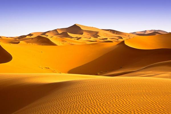 Sahara Desert. Photo: Danhsachvang