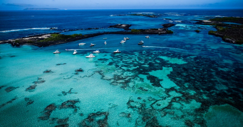 Photo:  Galapagos Unbound