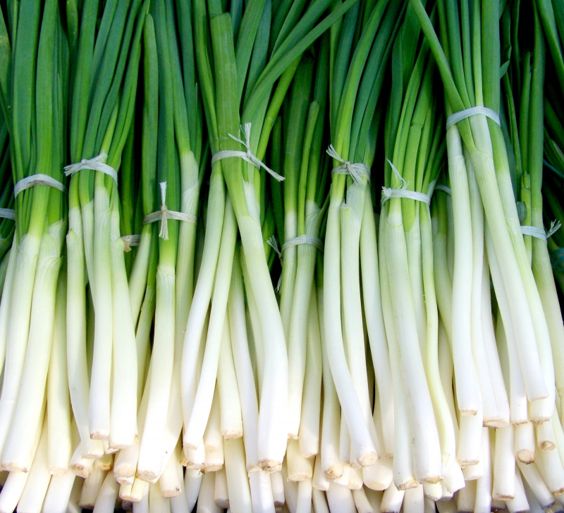 Scallions (green onions)