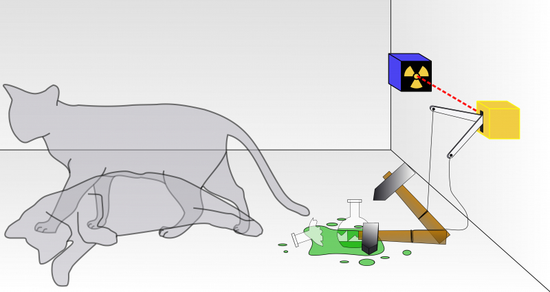 Photo: Schrödinger 's Cat, en.wikipedia.org