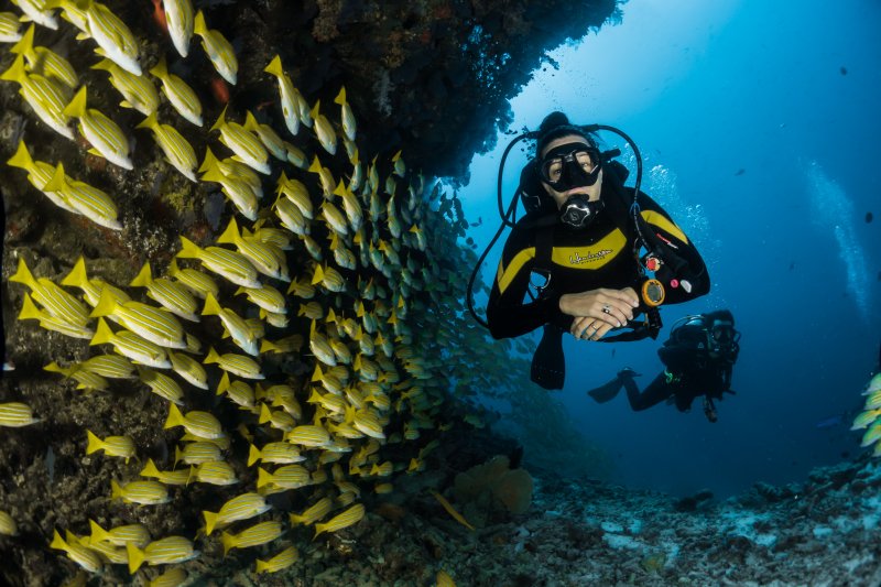 Photo by Sebastian Pena Lambarri on Unsplash: https://unsplash.com/photos/two-people-scuba-diving-underwater-7i5HMCGupVw