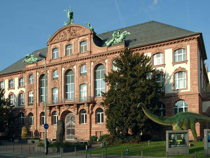Senckenberg Natural History Museum, Frankfurt
