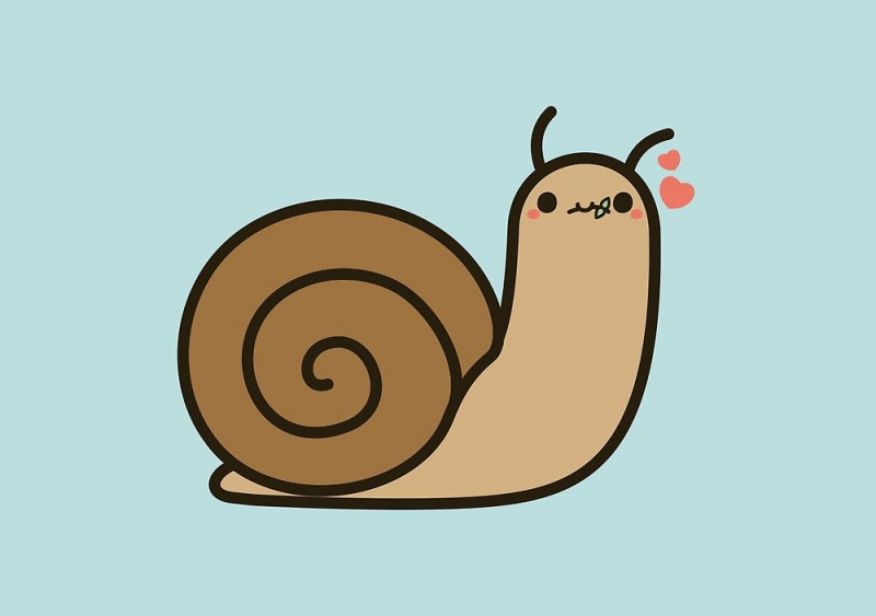 Shake Paint Rock Snails - Photo via Pinterest