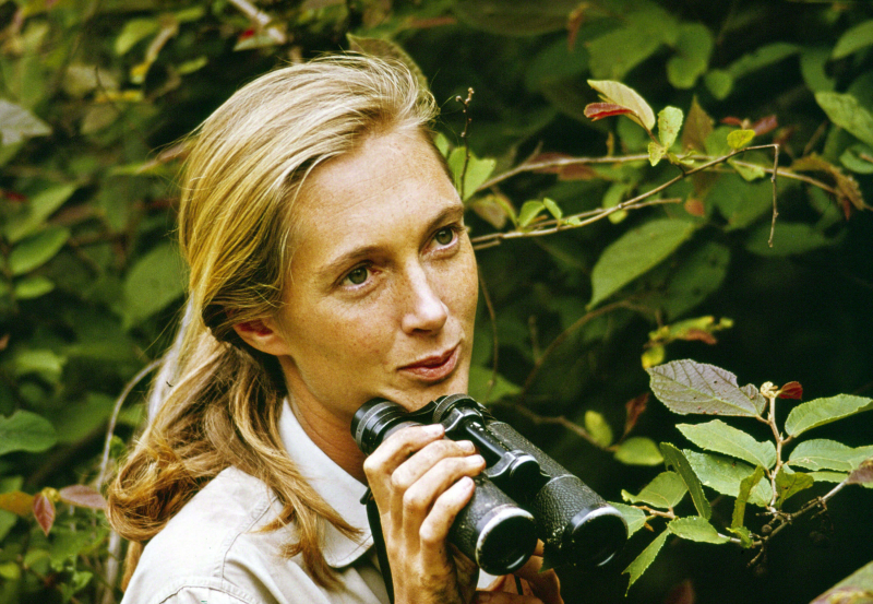 Photo: Jane Goodall Institute