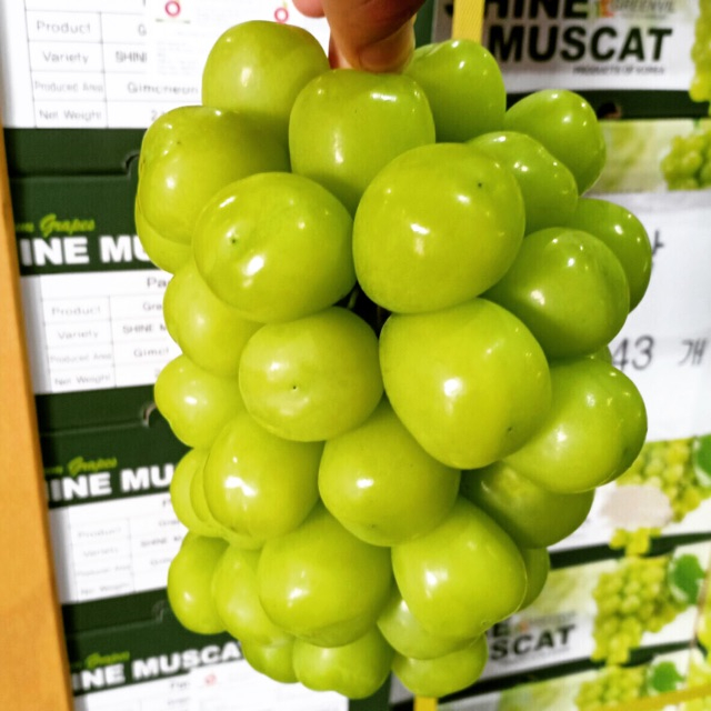 Shine Muscat Grapes