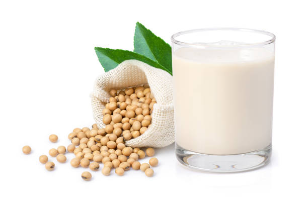 Soy and soy-based products