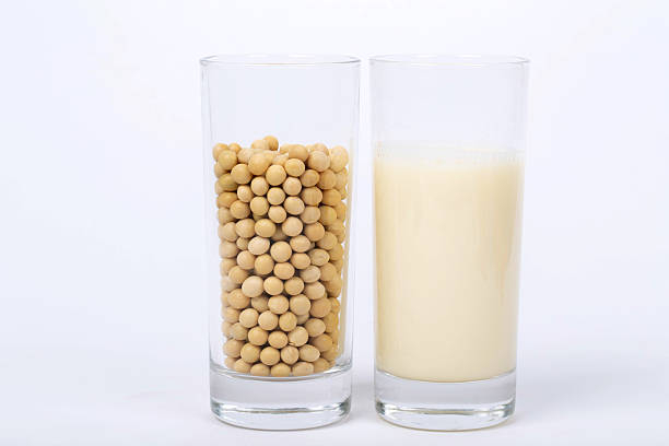 Soy protein