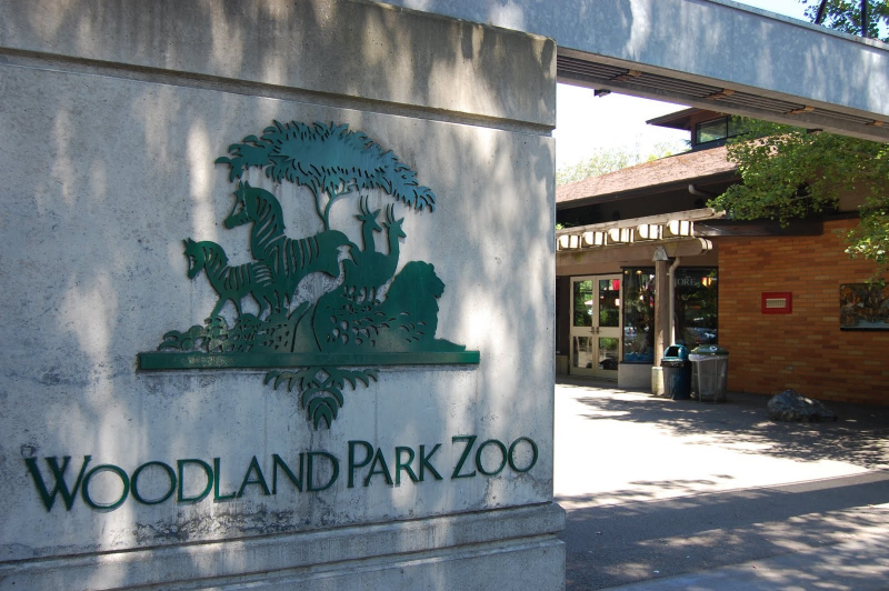 Spend the Day (or Evening) at the Woodland Park Zoo