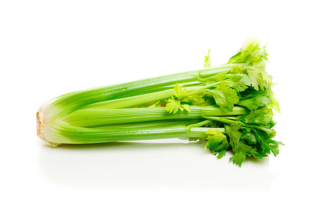 Squash or celery