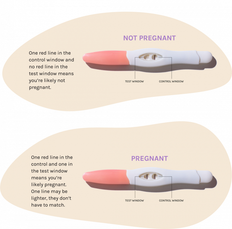 Stix Pregnancy Test