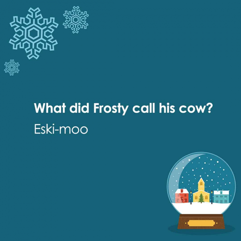 What did Frosty call his cow? - Photo collected by Toplist