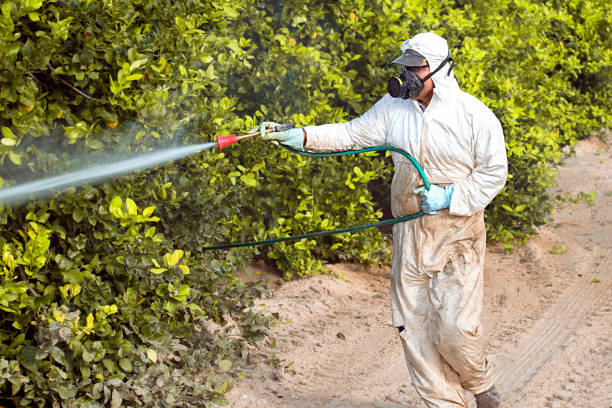 Photo:  iStock - Farm Worker Fumigating With Pesticide Lemon Trees