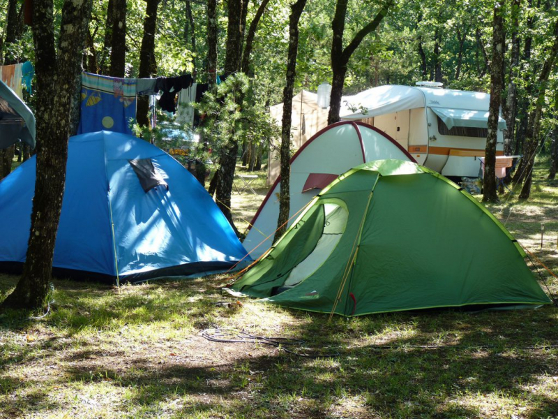 https://www.camping-la-foret.com/