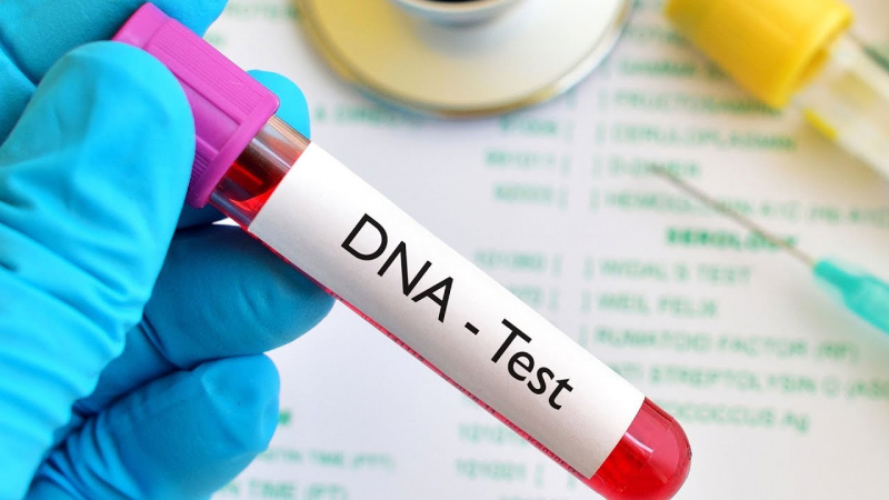 DNA Tests Can Tell You about Your Ancestry