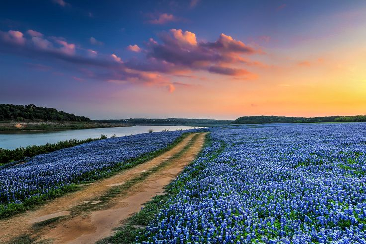 Take a Trip to the Texas Hill Country