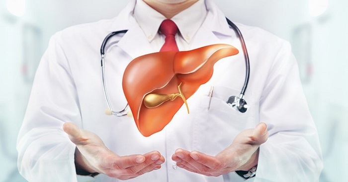 Enhance liver function and protect liver