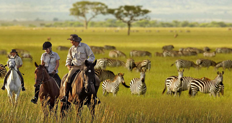 Serengeti National Park (photo:https://www.habariugandatours.com/)