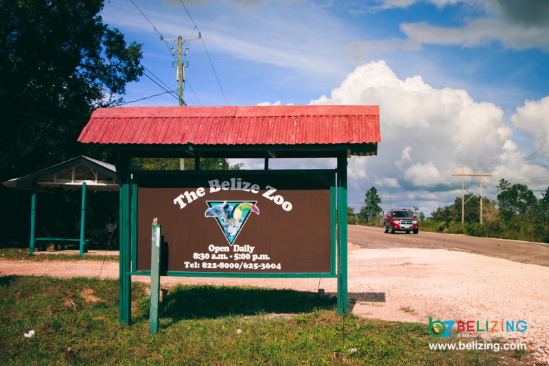 https://belizing.com/The-Belize-Zoo