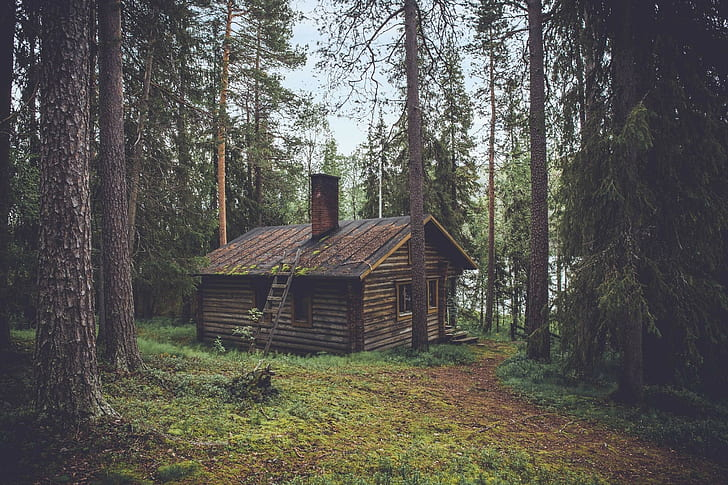 Photo on Wallpaper Flare: https://www.wallpaperflare.com/cabin-pine-trees-rooftops-cottage-wood-forest-cozy-house-wallpaper-umfrm